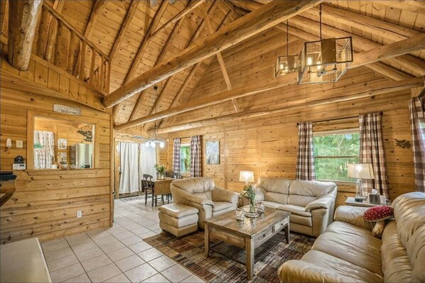 Smart TV, fireplace, DVD player, books