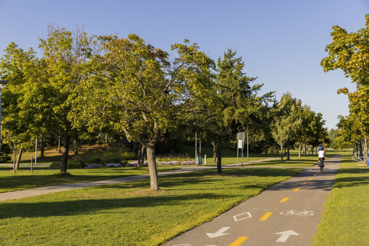 A paved bike path with directional arrows, surrounded by trees and grass.