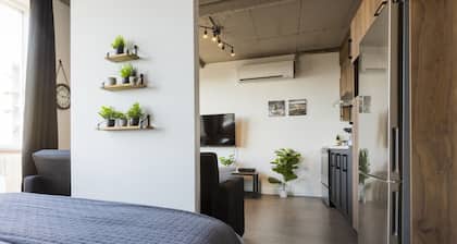 Loft 308 | Rooftop | Downtown