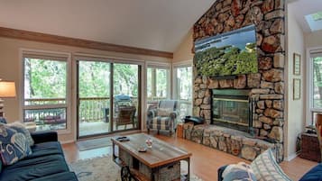 Smart TV, fireplace, video library