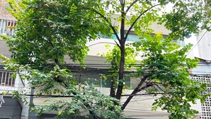 Ein Baum vor einem Gebäude mit Glastür und einem Schild mit Preisen.