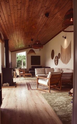 Smart TV, fireplace, books, stereo