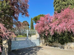 Property grounds - Le Balze Open Space with Private Garden in Villa with Park and Pool (Perugia)