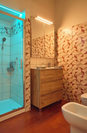 Shower, hair dryer, bidet, towels