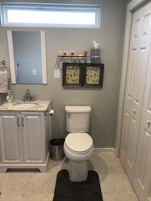 Hair dryer, towels, soap, toilet paper