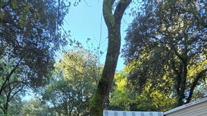 Ein Mobilheim mit umzäunter Terrasse, einem Baum und einem Schotterweg.