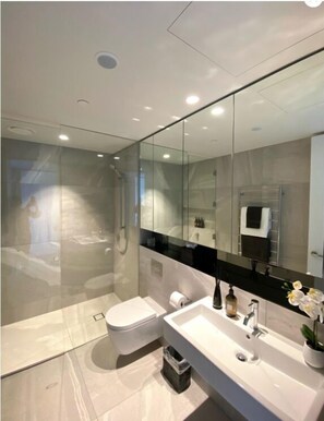 Shower, hair dryer, towels