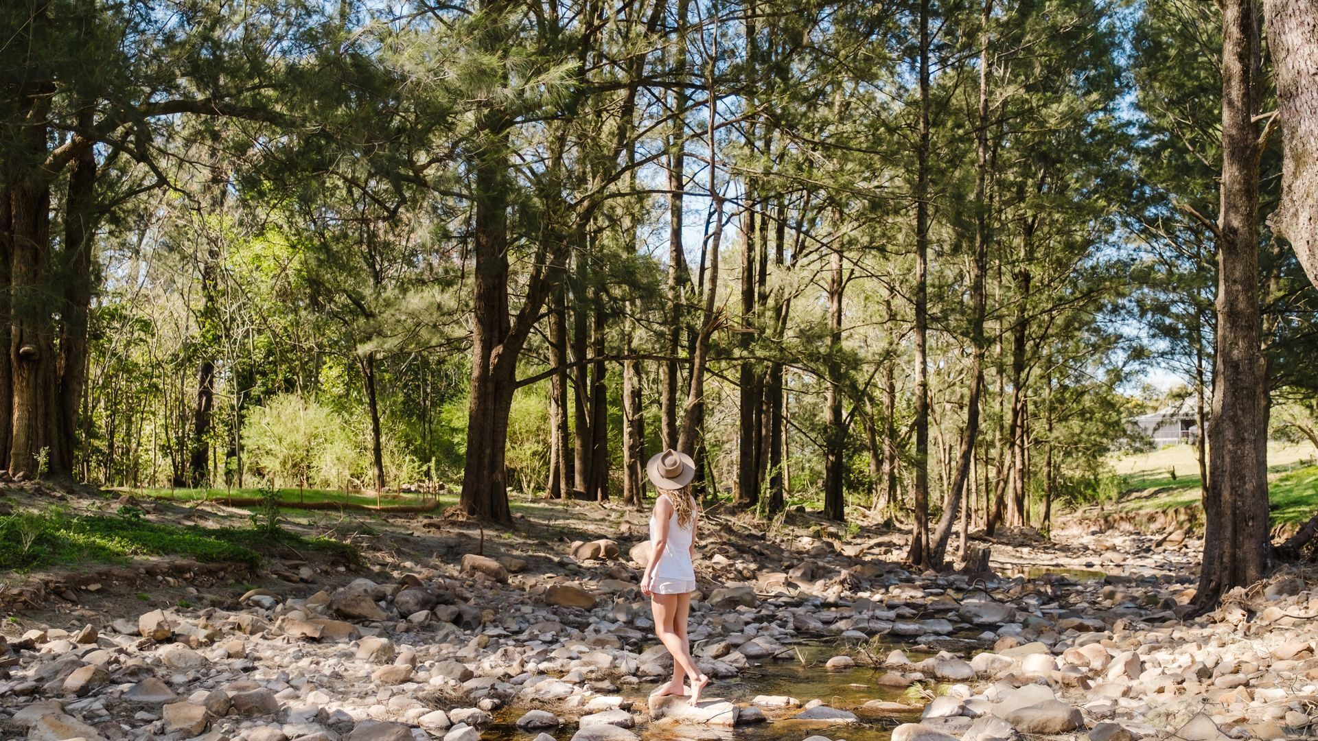 A natural outdoor setting with a rocky stream and dense trees.