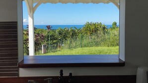 Ein Fenster mit Blick auf einen üppigen Garten und das Meer.