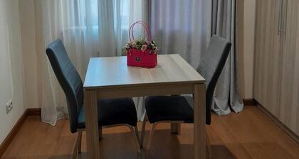 1bdr luxury apartment