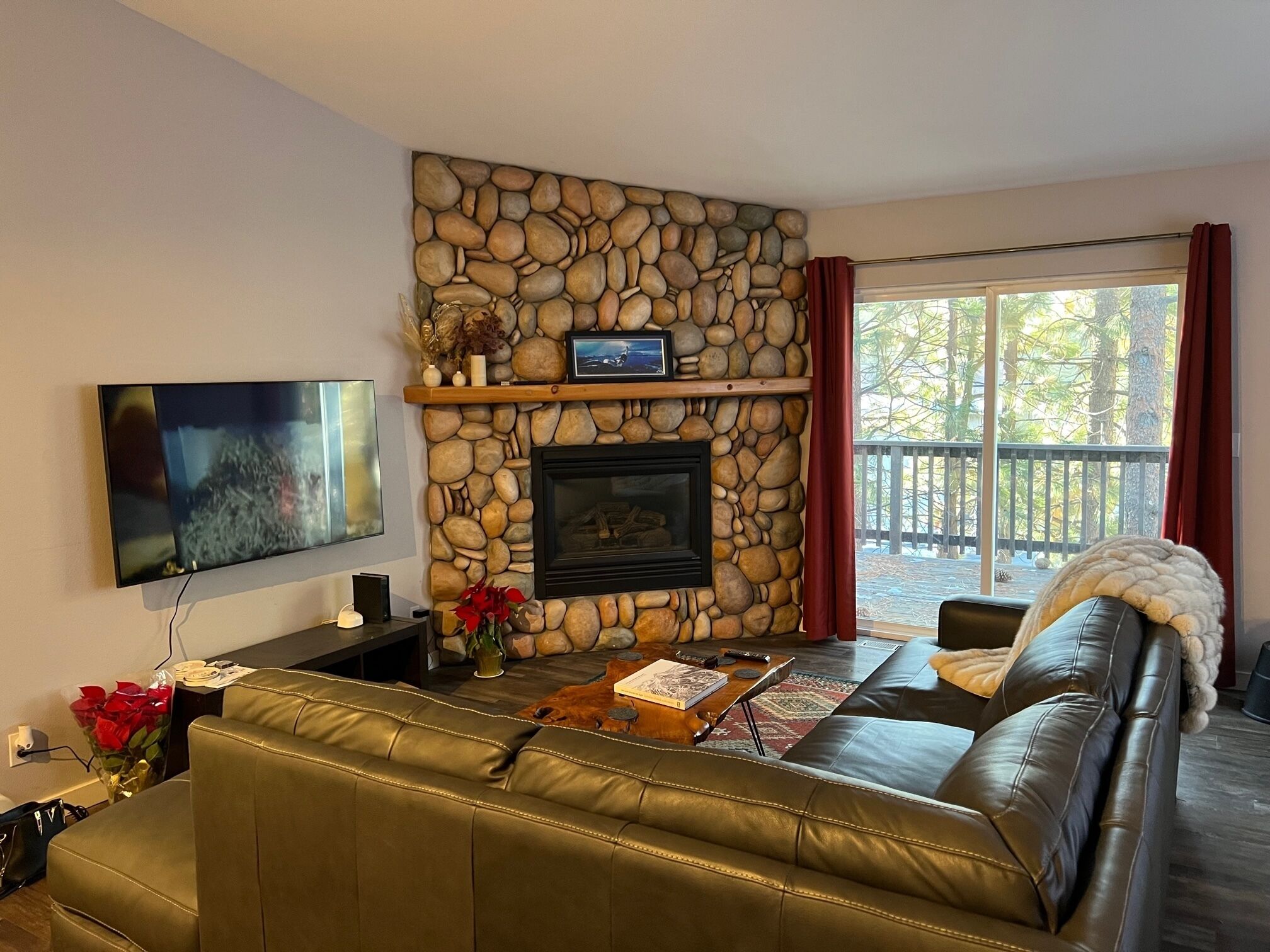 Smart TV, fireplace, books