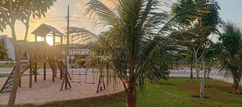 Your find in banana trees 2km from the center 