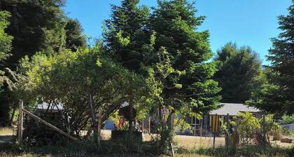 Charming 2-bedroom cottage in lovely Fort Bragg with WiFi