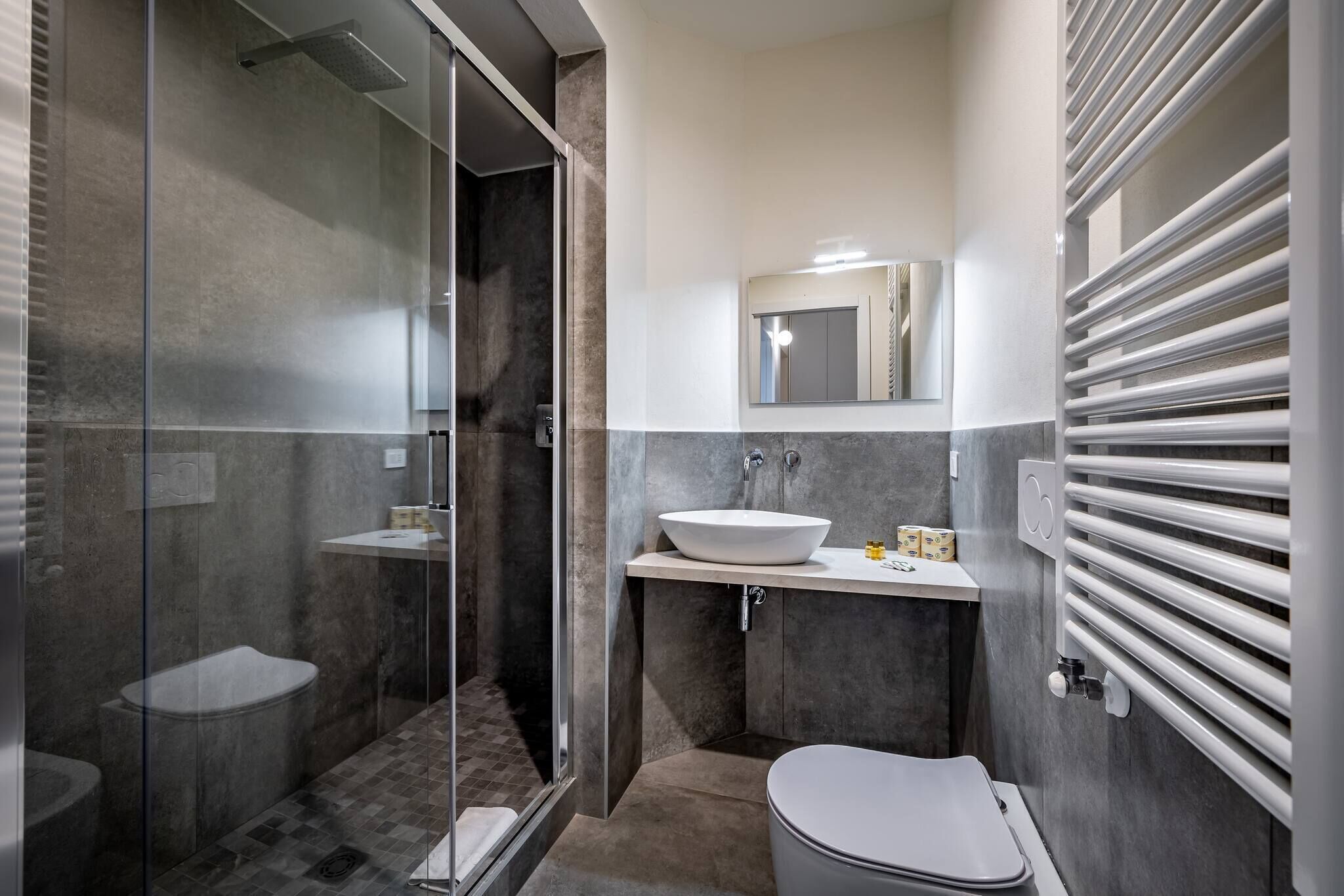 Shower, hair dryer, soap, shampoo