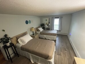 3 bedrooms, iron/ironing board, WiFi, bed sheets - 3-bedroom house in charming Chatham with WiFi, fitness room, AC (Chatham)