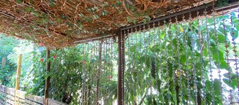 Casa K, comfort and privacy in Noronha.