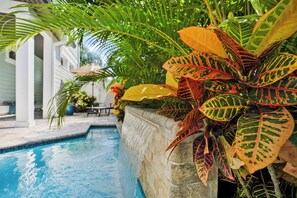 Pool - Plunge Pool, Pack N Play, BBQ, Walk Downtown (St. Augustine)