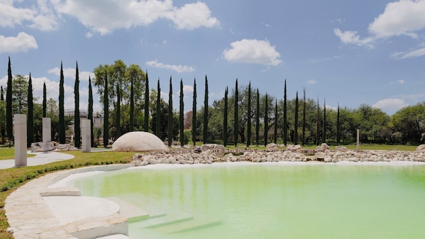 A landscaped area with a pool, stone steps, and tall cypress trees. - Vid de Luna (San Miguel de Allende)