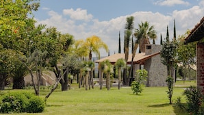 A courtyard with a stone building, palm trees, and a clear sky. - Vid de Luna (San Miguel de Allende)