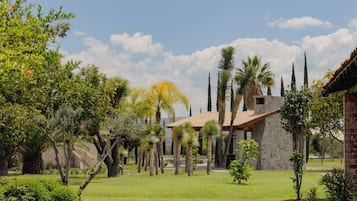 Jardin