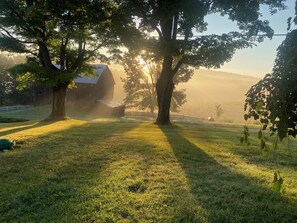 Eine Scheune, umgeben von Bäumen, wobei Sonnenlicht durch das Laub scheint.