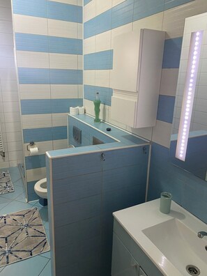 Shower, hair dryer, bidet, towels