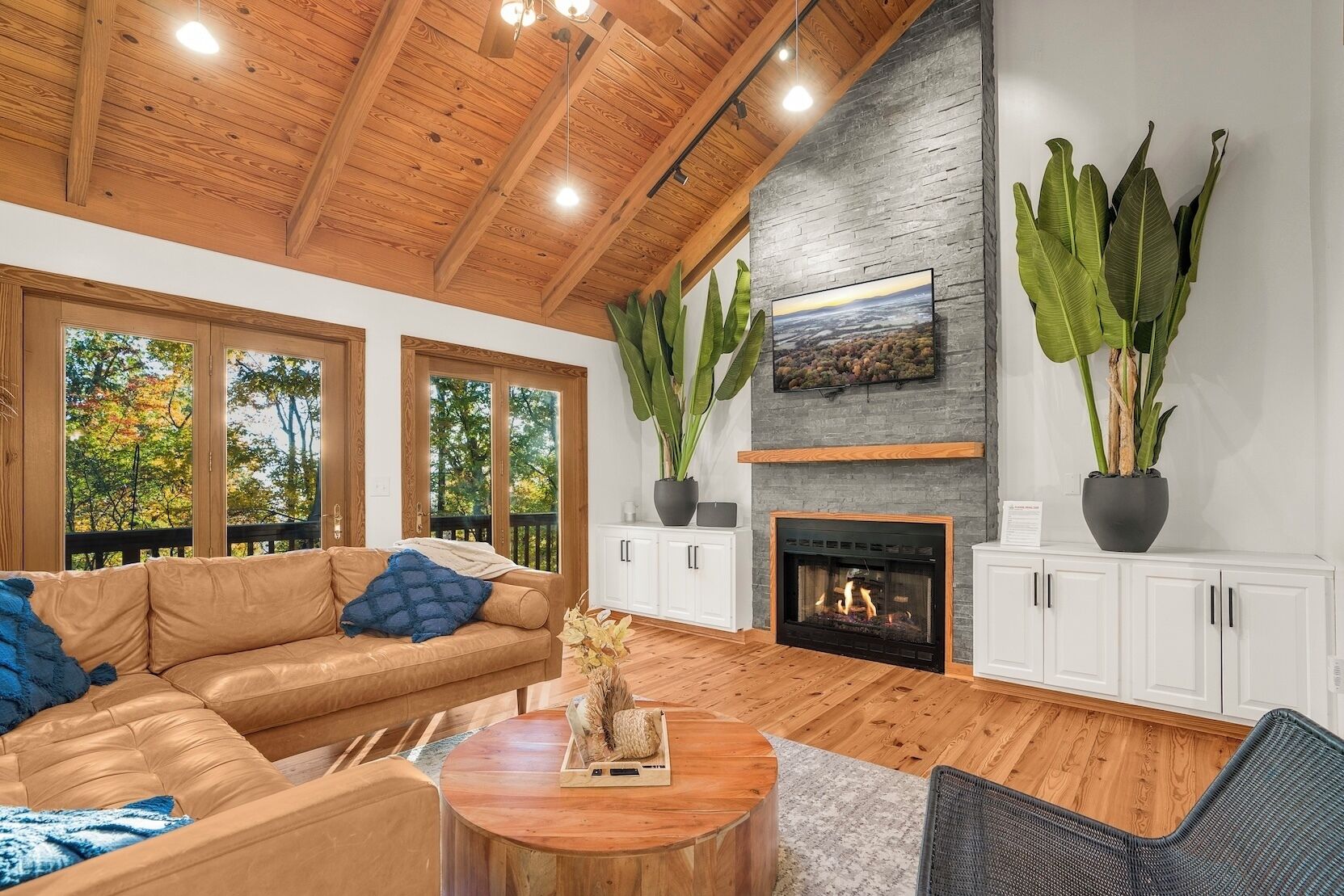 Smart TV, fireplace, stereo