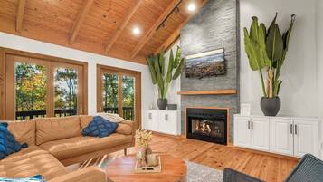 Smart TV, fireplace, stereo
