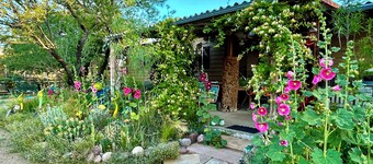 Artistic home and gardens Just a stones throw to Roosevelt Lake.