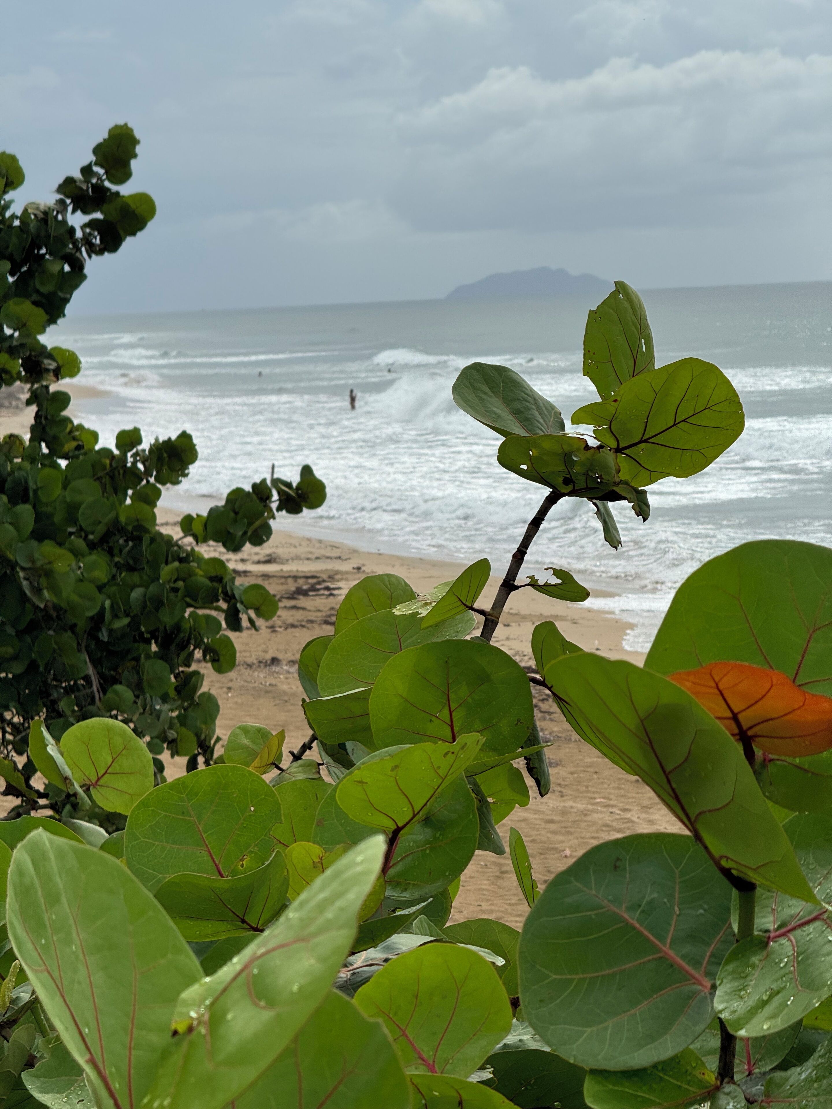 A beach view with waves and a distant mountain.