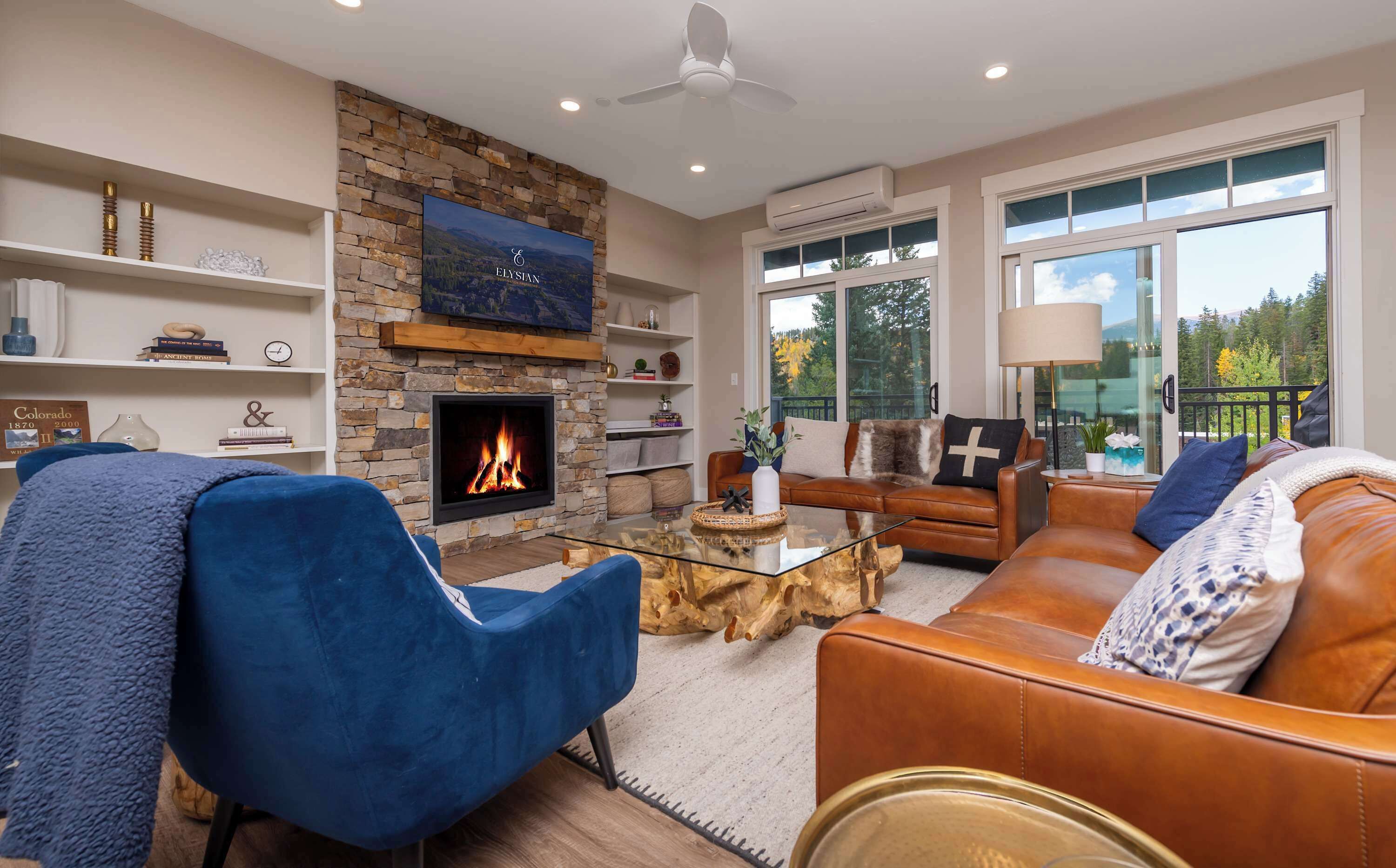 TV, fireplace, stereo, offices