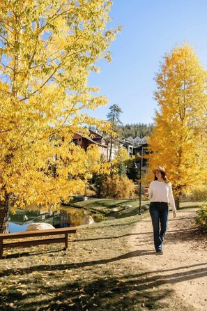 Jardines del alojamiento