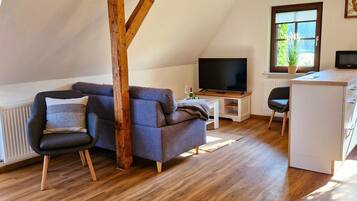Fernseher, Stereoanlage