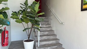 Una escalera con barandilla blanca, una planta en maceta y un extintor.