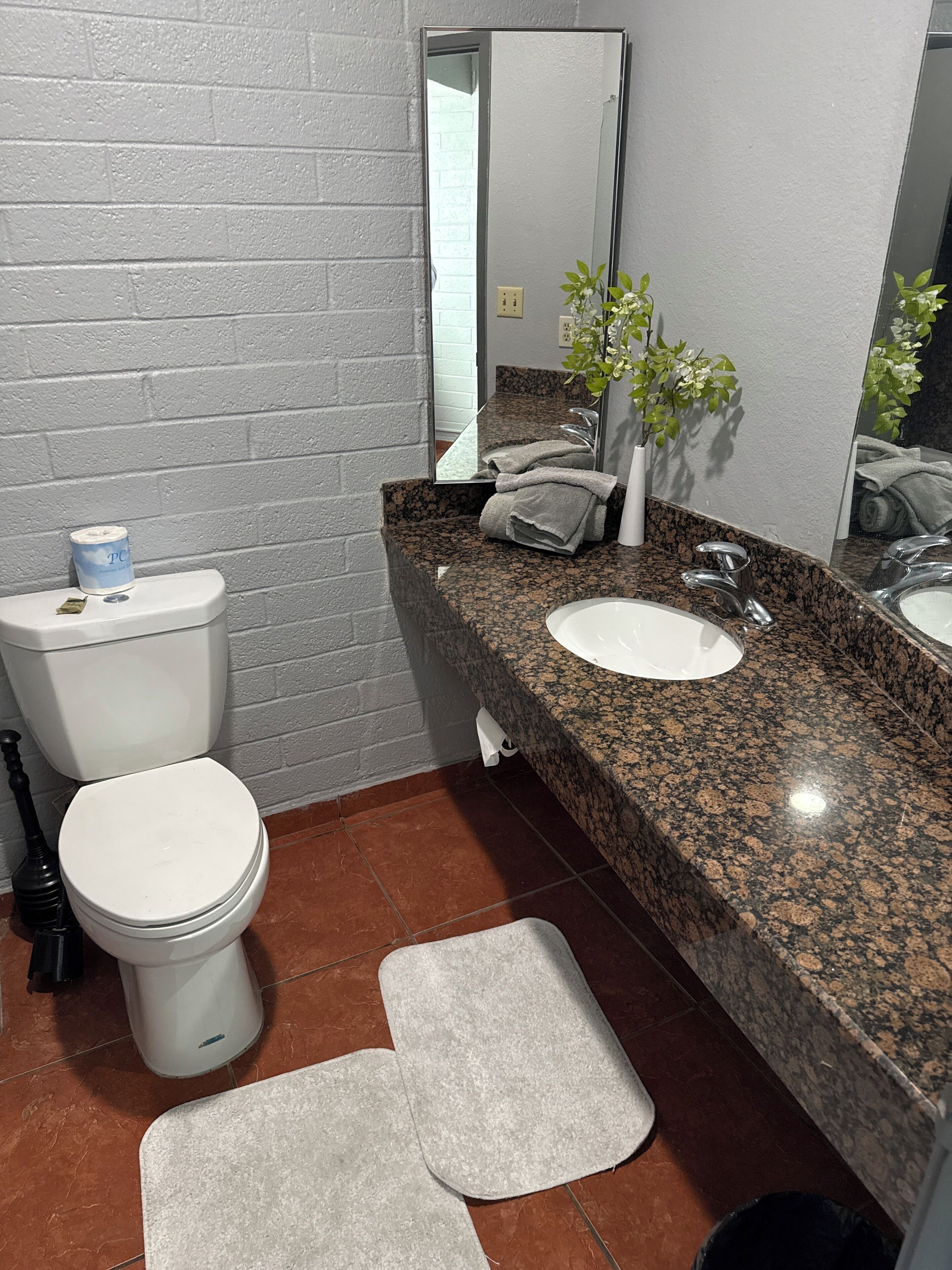 Een badkamer met een wit toilet, een wastafel met een granieten blad, een spiegel en een potplant.