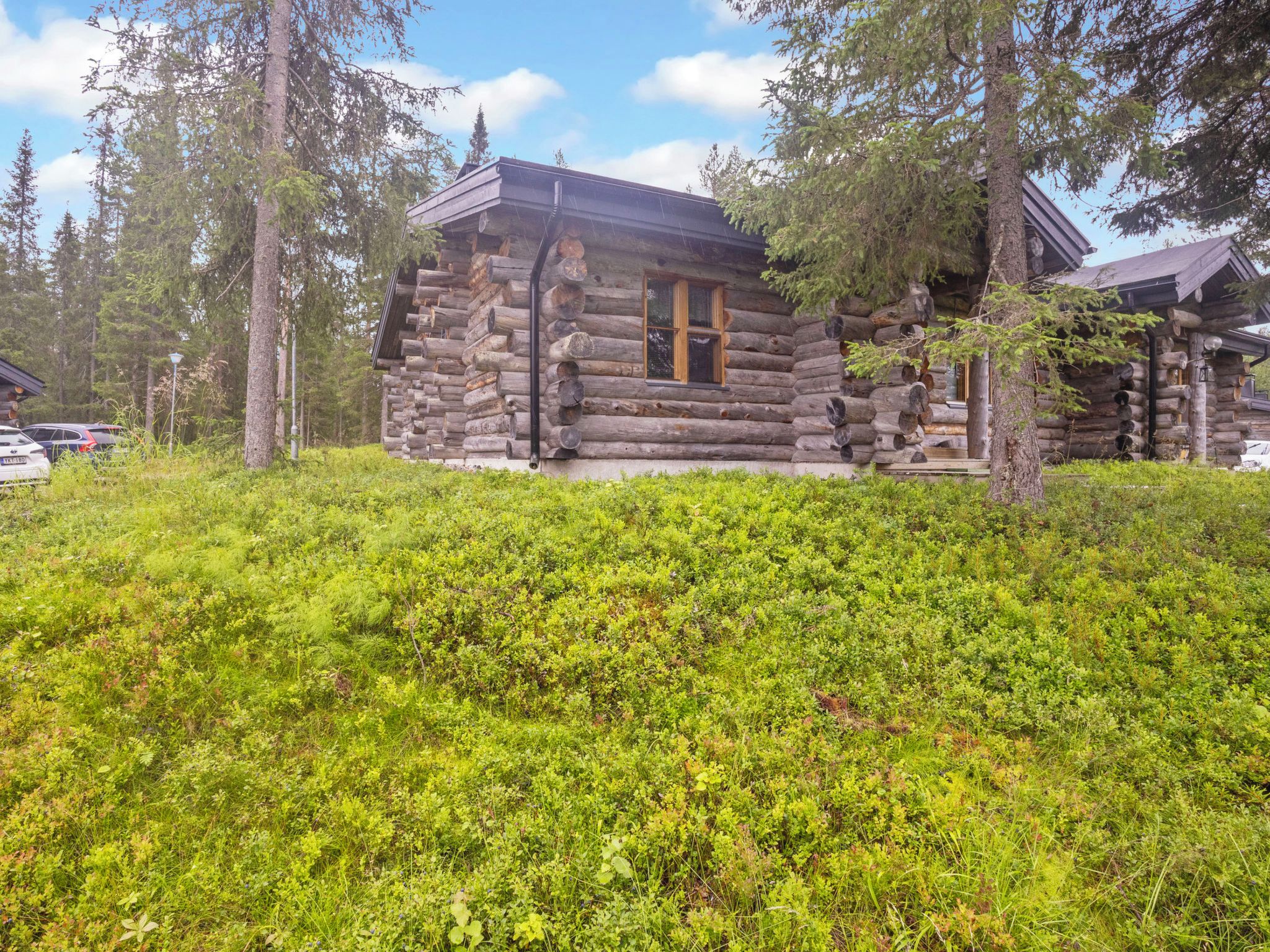 A log cabin with a window and a door, surrounded by dense greenery and trees.