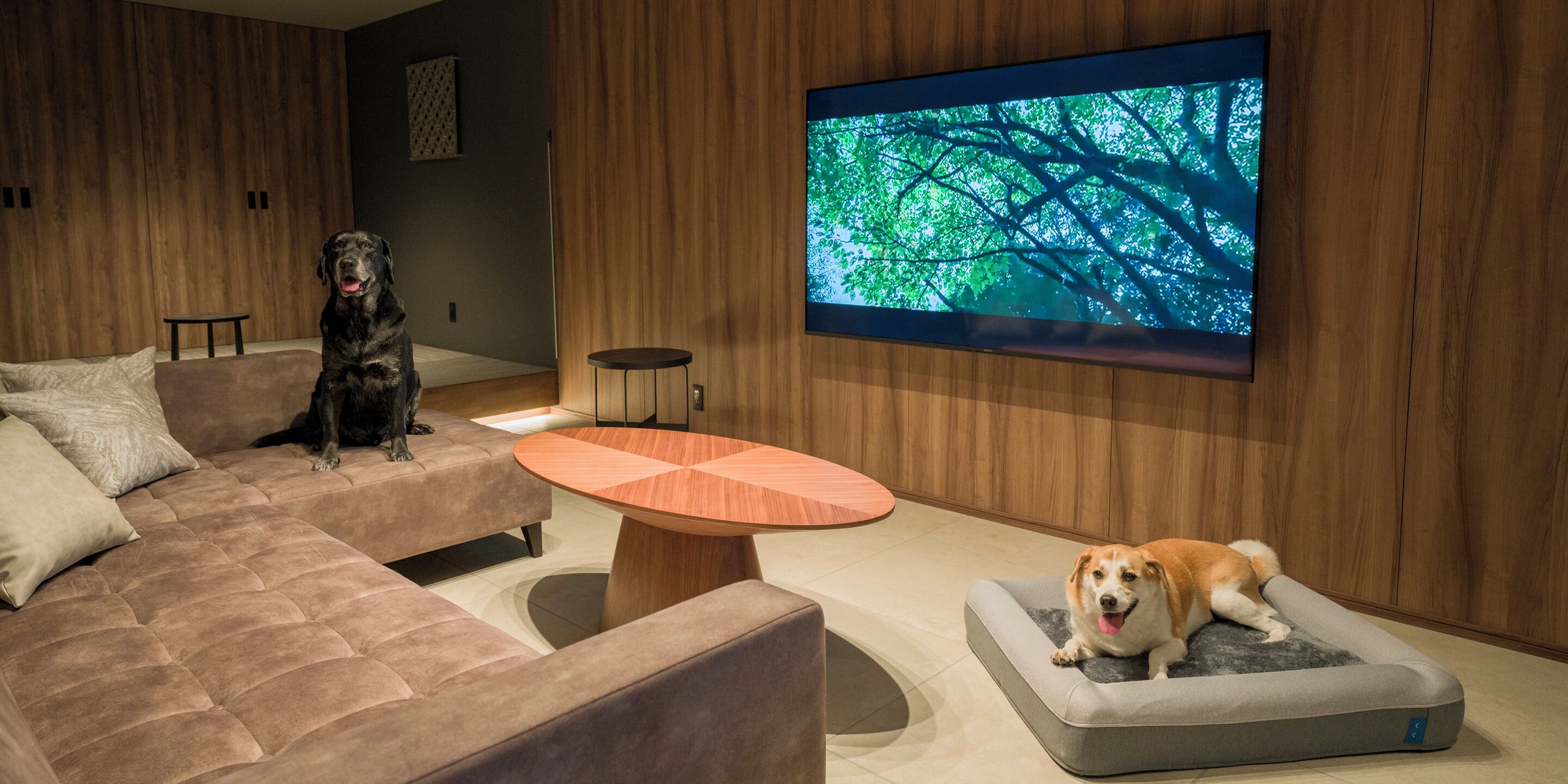 Un salon moderne avec un canapé, une table basse ronde et un téléviseur fixé au mur qui diffuse une scène de la nature.