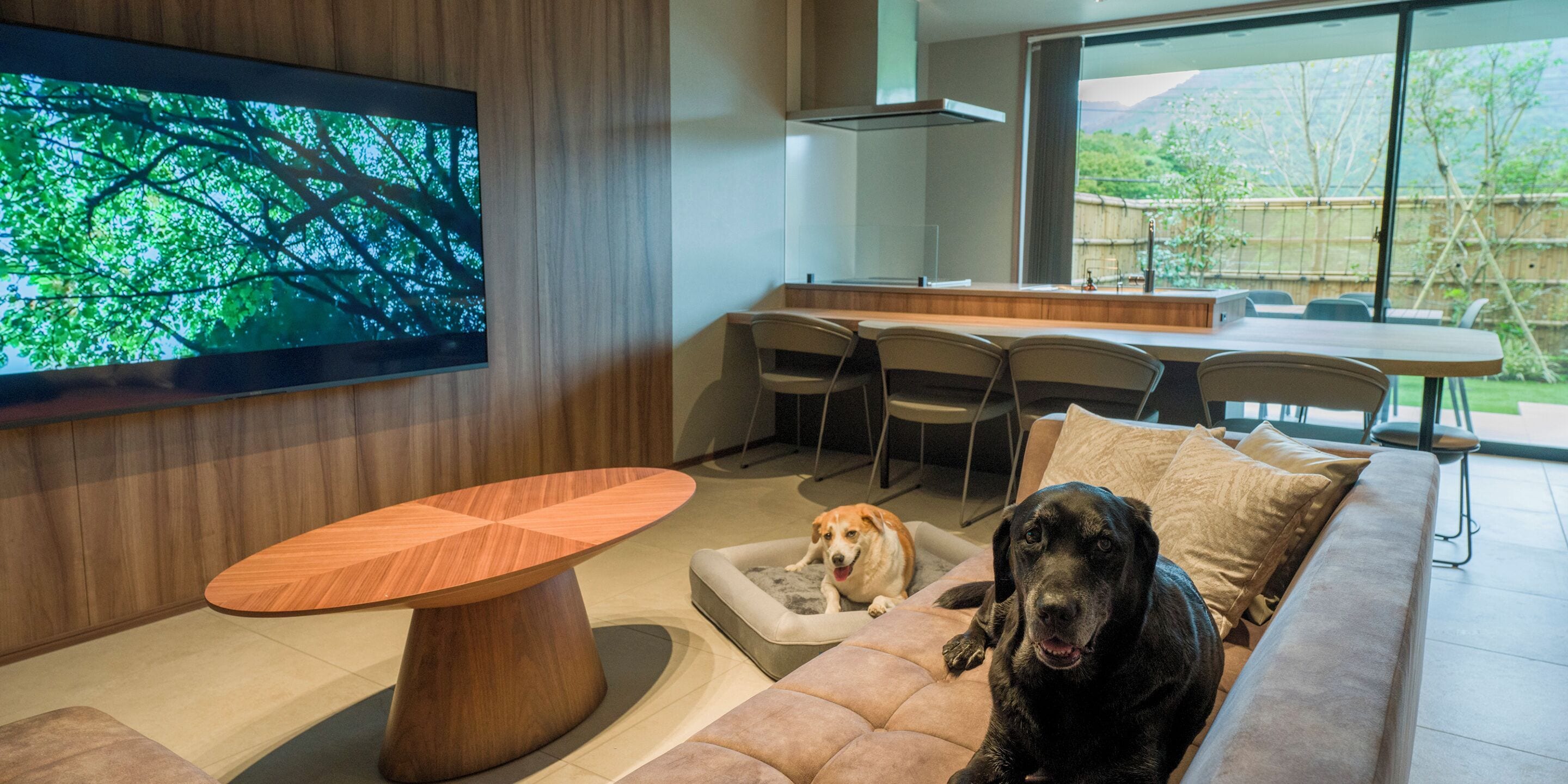 A modern living room with a wooden coffee table, a sofa with a dog, and a dining area with chairs.