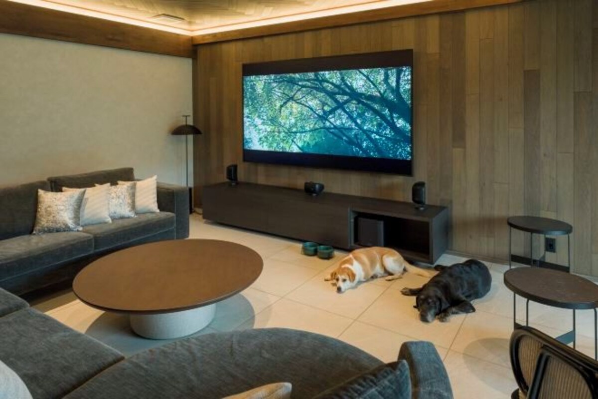 Een moderne woonkamer met een grote flatscreen televisie aan de muur, een bank, een salontafel en twee honden die op de vloer liggen.