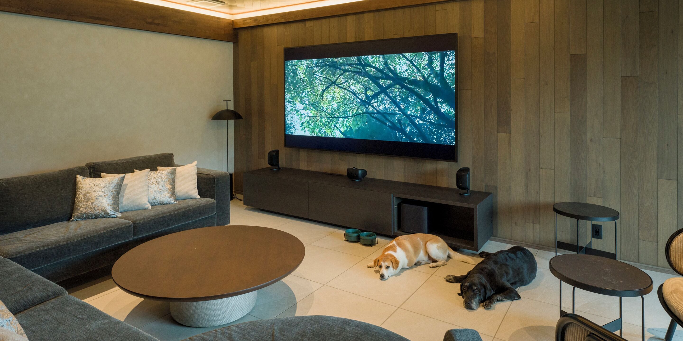 Een moderne woonkamer met een grote flatscreen televisie, een grijze bank, een salontafel en twee honden die op de vloer liggen.