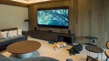 Een moderne woonkamer met een grote flatscreen televisie, een grijze bank, een salontafel en twee honden die op de vloer liggen.