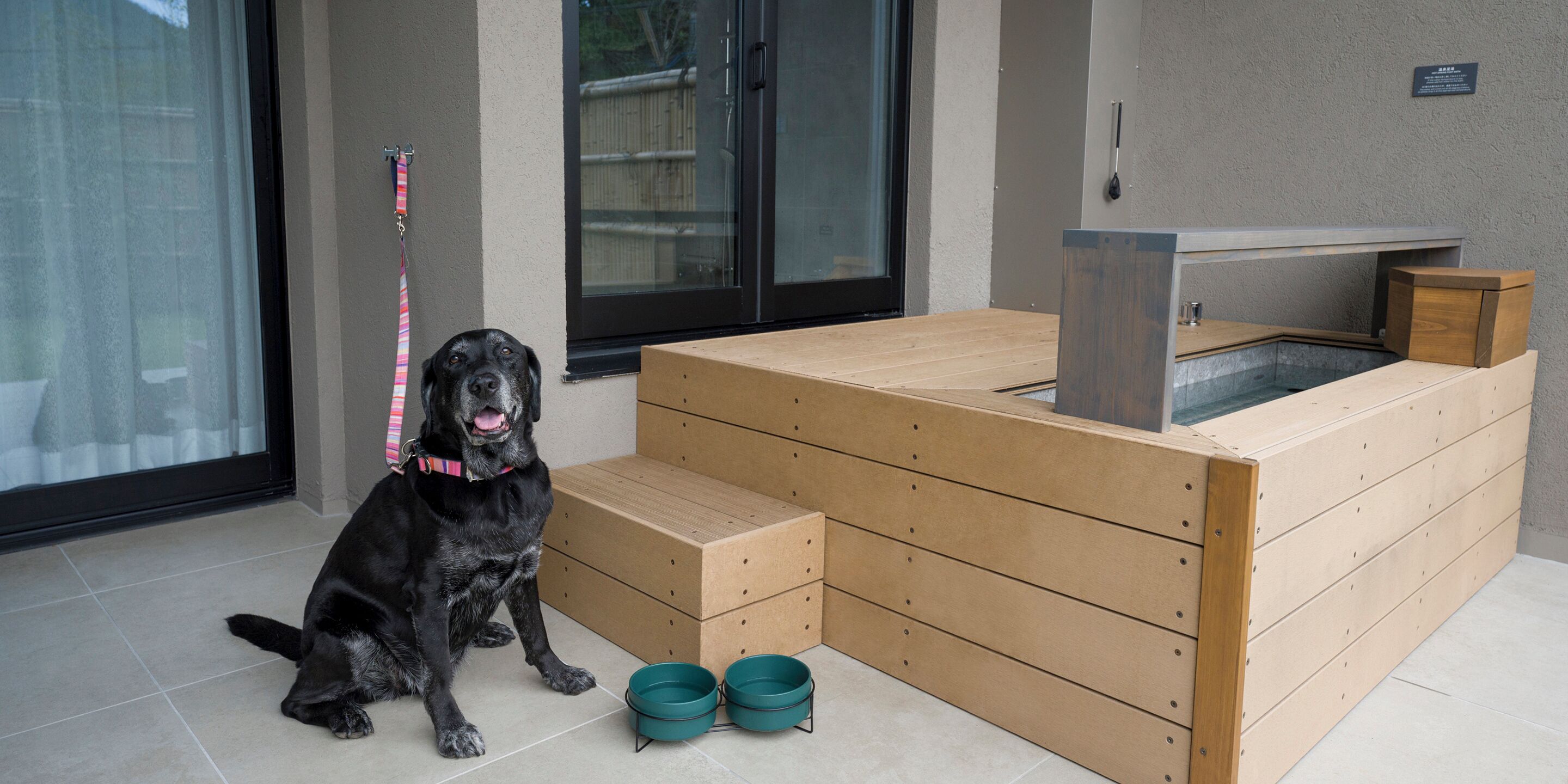 Un chien noir est assis à côté d’un panier pour chien en bois, avec deux gamelles turquoise, une fenêtre et une porte.
