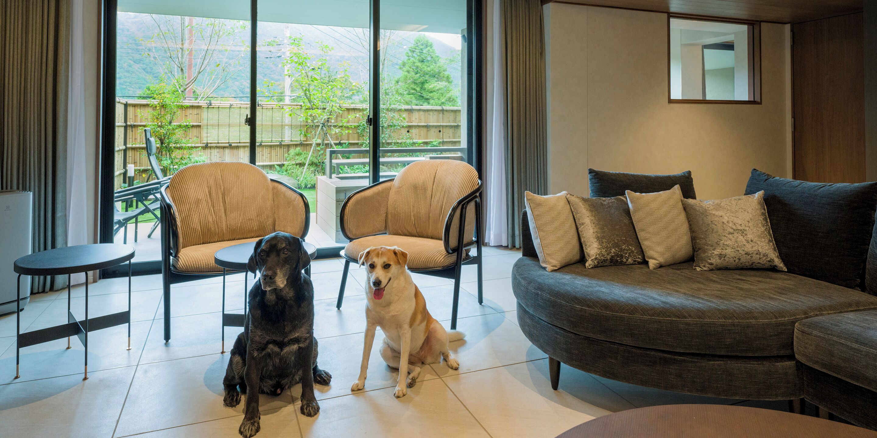 A modern living room with a grey sofa, two beige armchairs, and a black dog and a white dog sitting on the floor.