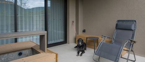 A patio area with a dog, a folding chair, and a wooden bench.