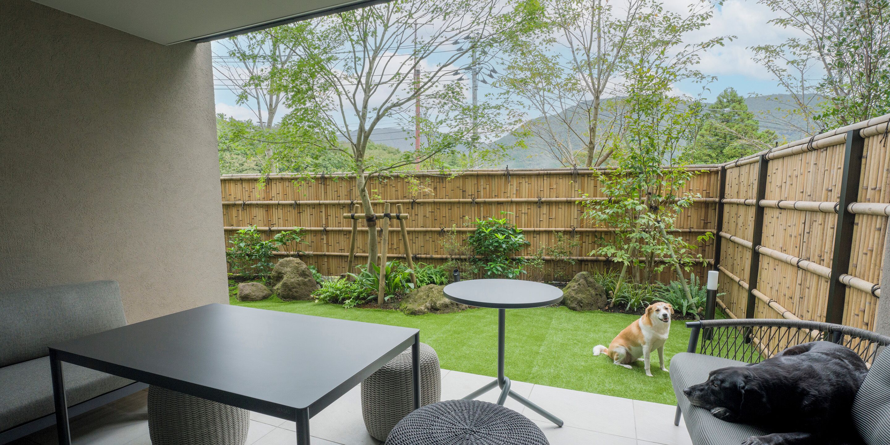 Eine Terrasse mit Tisch und Stühlen, einem kleinen runden Tisch, einem Hund und einem Bambuszaun.