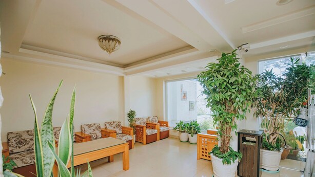 A spacious living room with a sofa set, wooden coffee table, and multiple potted plants.