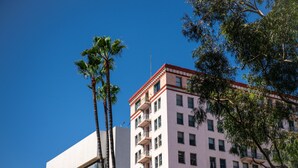 Un immeuble à plusieurs étages doté de balcons, entouré de palmiers.