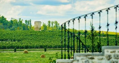 Château Chatillon