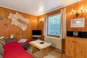 TV, fireplace, DVD player, stereo