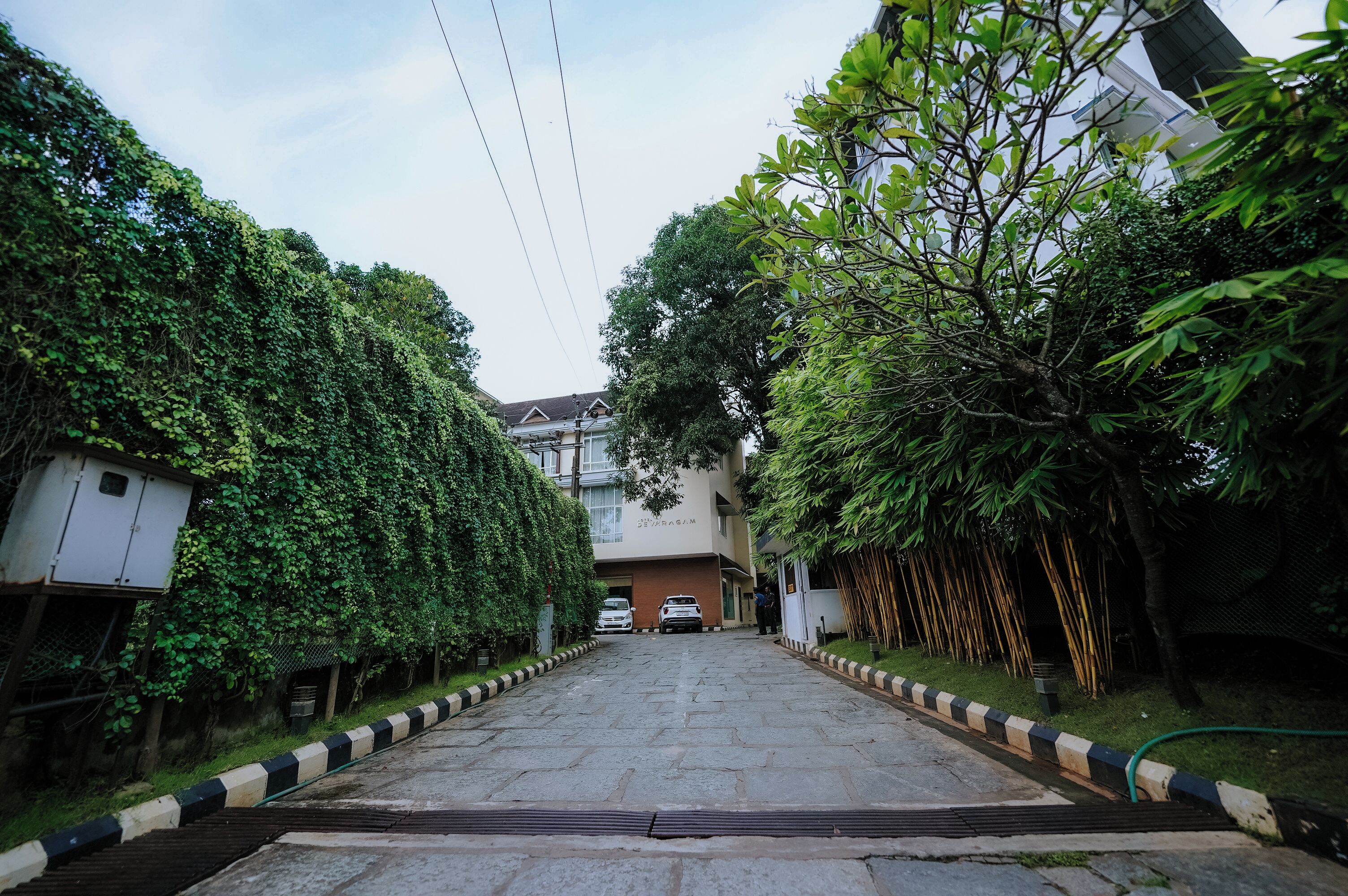 A residential street with a paved road, a white car parked on the side, and a building with a sign reading "JAPAN".